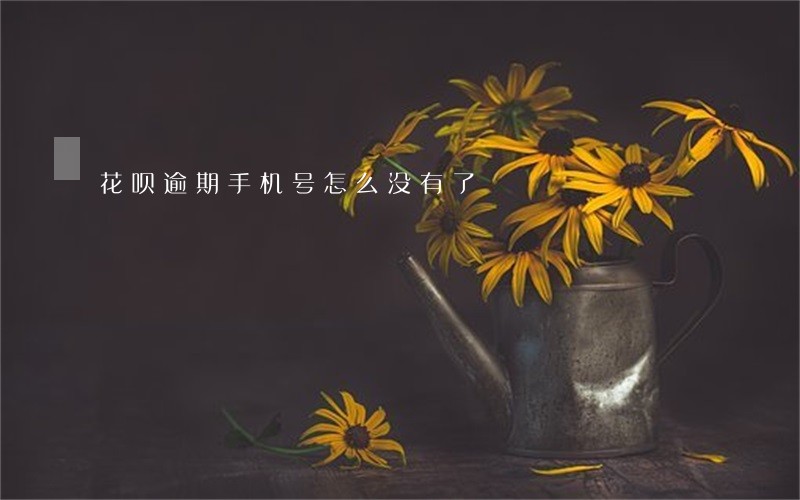 花呗逾期手机号怎么没有了 花呗逾期手机号怎么没有了