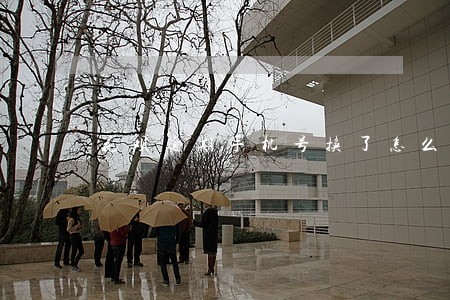 花呗逾期手机号换了怎么还款 花呗逾期手机号换了怎么还款