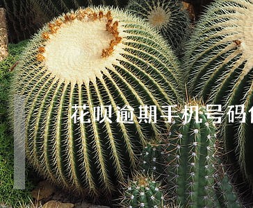 花呗逾期手机号码停机 花呗逾期手机号码停机