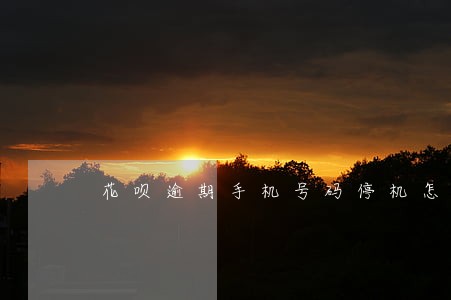 花呗逾期手机号码停机怎么办 花呗逾期手机号码停机怎么办