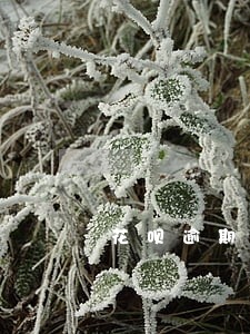 花呗逾期手机号码没了怎么还款 花呗逾期手机号码没了怎么还款