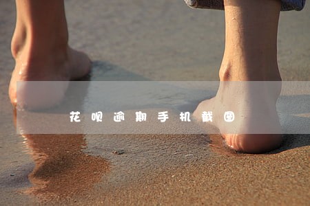 花呗逾期手机截图 花呗逾期手机截图