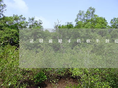花呗逾期手机收不到验证码 花呗逾期手机收不到验证码