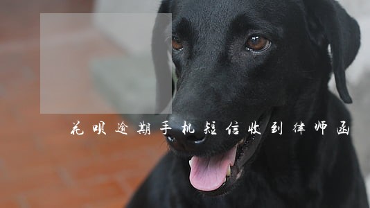 花呗逾期手机短信收到律师函 花呗逾期手机短信收到律师函