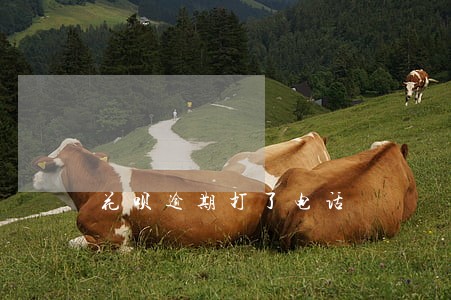 花呗逾期打了电话 花呗逾期打了电话