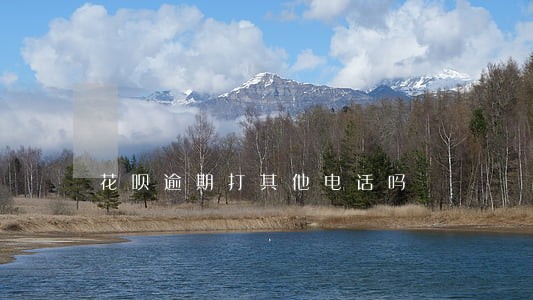 花呗逾期打其他电话吗 花呗逾期打其他电话吗