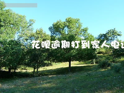 花呗逾期打到家人电话 花呗逾期打到家人电话