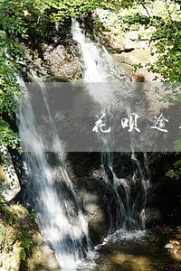 花呗逾期打哪个电话协商 花呗逾期打哪个电话协商