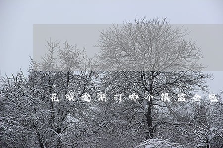 花呗逾期打哪个银监会电话 花呗逾期打哪个银监会电话