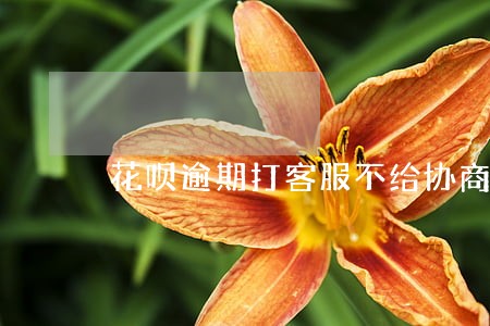 花呗逾期打客服不给协商