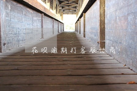 花呗逾期打客服协商