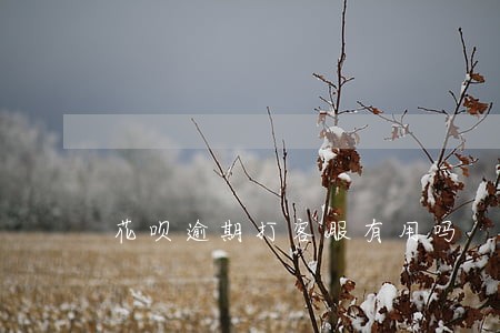 花呗逾期打客服有用吗 花呗逾期打客服有用吗