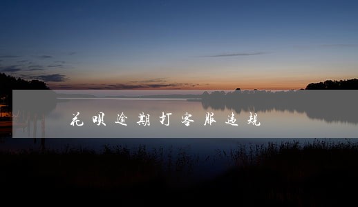 花呗逾期打客服违规