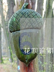 花呗逾期打家里人电话 花呗逾期打家里人电话