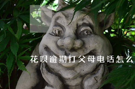 花呗逾期打父母电话怎么可以不打 花呗逾期打父母电话怎么可以不打