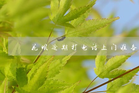 花呗逾期打电话上门准备材料 花呗逾期打电话上门准备材料