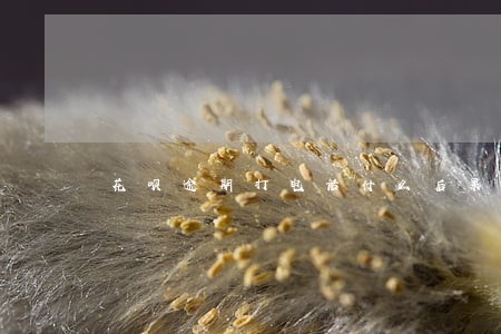 花呗逾期打电话什么后果 花呗逾期打电话什么后果