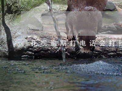 花呗逾期打电话会打给父母吗 花呗逾期打电话会打给父母吗