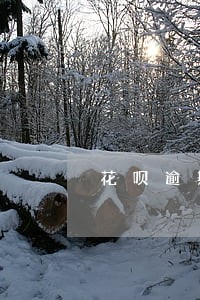 花呗逾期打电话会显示什么 花呗逾期打电话会显示什么