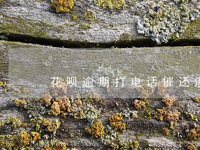 花呗逾期打电话催还涉及户籍 花呗逾期打电话催还涉及户籍