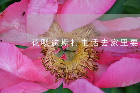 花呗逾期打电话去家里要