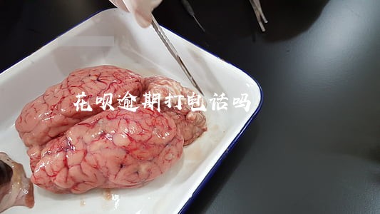花呗逾期打电话吗 花呗逾期打电话吗
