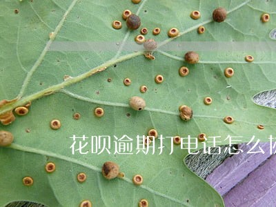 花呗逾期打电话怎么协商