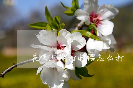 花呗逾期打电话怎么打 花呗逾期打电话怎么打