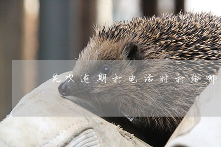 花呗逾期打电话时打给哪个 花呗逾期打电话时打给哪个