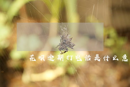 花呗逾期打电话是什么意思