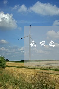 花呗逾期打电话是哪个电话 花呗逾期打电话是哪个电话