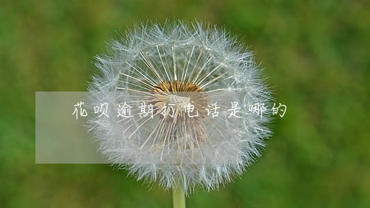花呗逾期打电话是哪的 花呗逾期打电话是哪的