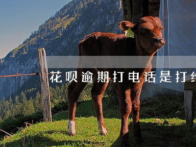 花呗逾期打电话是打给谁 花呗逾期打电话是打给谁
