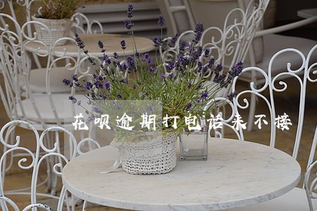花呗逾期打电话来不接 花呗逾期打电话来不接