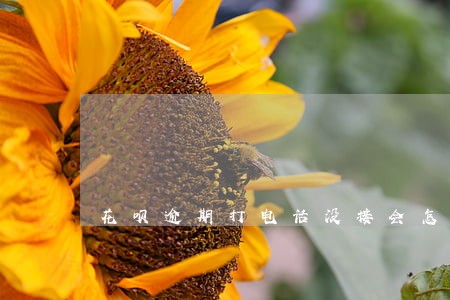 花呗逾期打电话没接会怎样 花呗逾期打电话没接会怎样