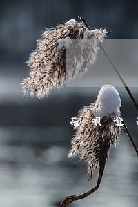 花呗逾期打电话犯法 花呗逾期打电话犯法