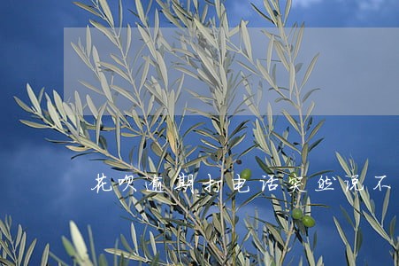 花呗逾期打电话突然说不打了 花呗逾期打电话突然说不打了