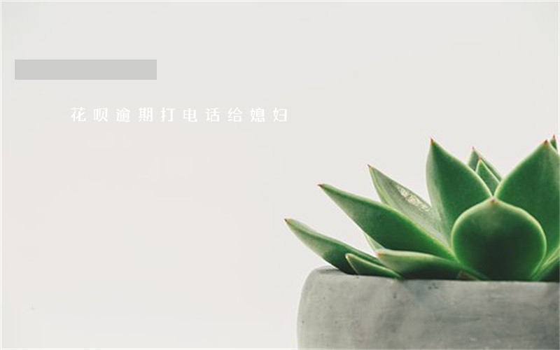 花呗逾期打电话给媳妇