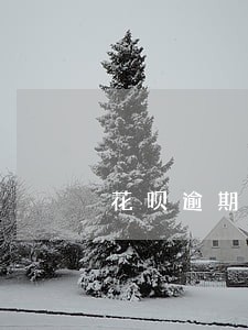 花呗逾期打电话给家人怎么投诉 花呗逾期打电话给家人怎么投诉