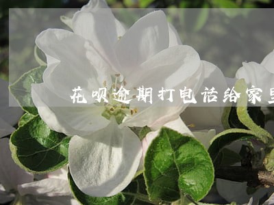 花呗逾期打电话给家里人吗 花呗逾期打电话给家里人吗