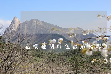 花呗逾期打电话给父母
