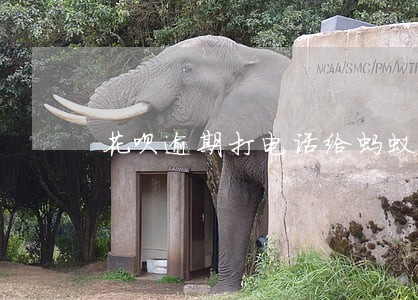 花呗逾期打电话给蚂蚁金服没用吗 花呗逾期打电话给蚂蚁金服没用吗