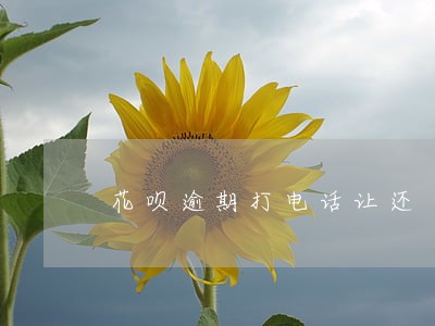 花呗逾期打电话让还 花呗逾期打电话让还
