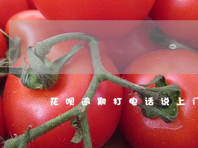 花呗逾期打电话说上门会上门吗 花呗逾期打电话说上门会上门吗