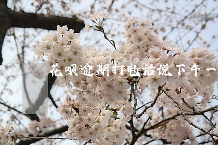 花呗逾期打电话说下午一定要还 花呗逾期打电话说下午一定要还