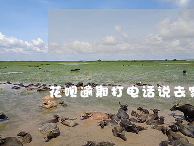 花呗逾期打电话说去家里 花呗逾期打电话说去家里