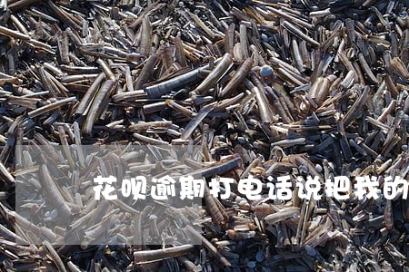 花呗逾期打电话说把我的信息 花呗逾期打电话说把我的信息