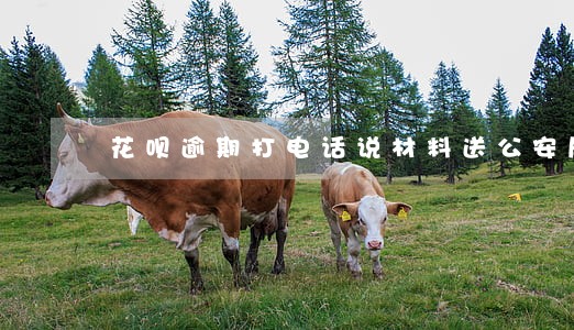 花呗逾期打电话说材料送公安局 花呗逾期打电话说材料送公安局
