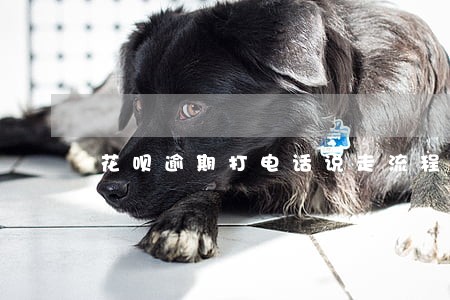 花呗逾期打电话说走流程是真是假 花呗逾期打电话说走流程是真是假