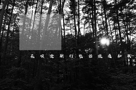 花呗逾期打电话说通知联系人 花呗逾期打电话说通知联系人